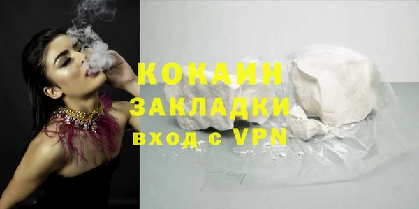 прущие грибы Балабаново