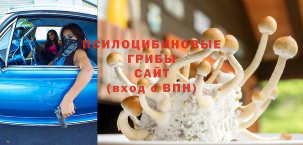 прущие грибы Балабаново