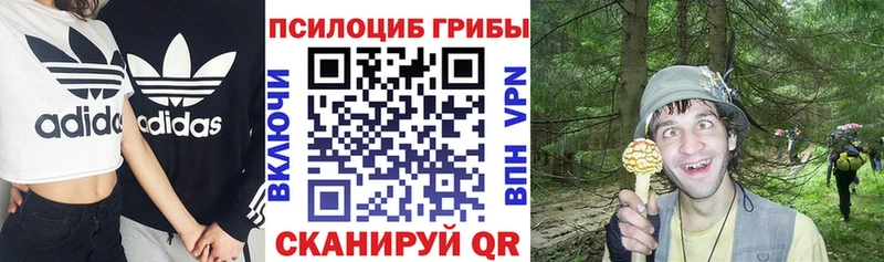 Галлюциногенные грибы ЛСД  Печоры 